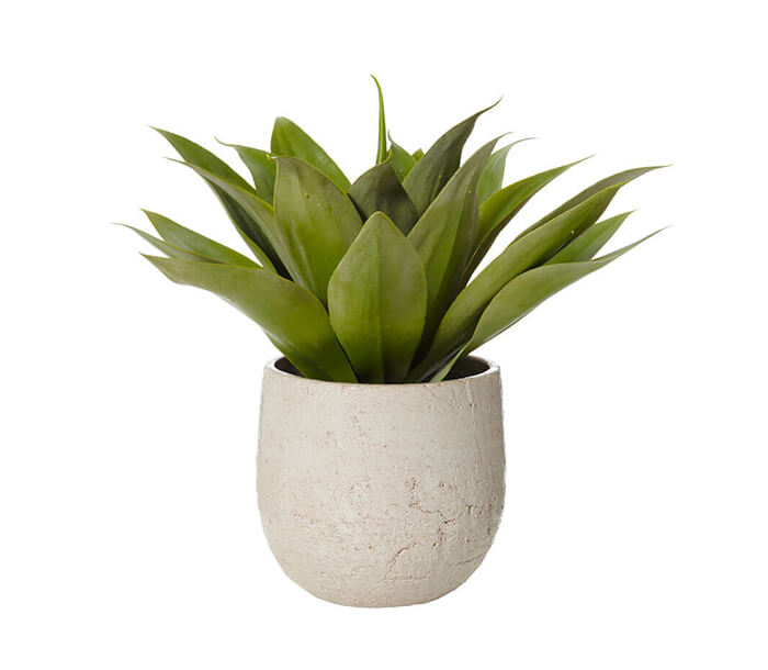 product_19