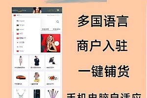 跨境商城b2b2c多语言多货币源码